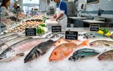 新鮮な魚の選び方|スーパーで失敗しない見分け方のコツ5選